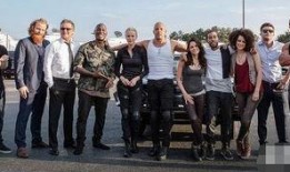 速度与激情八在线观看,狂飙巅峰，速度极限再突破